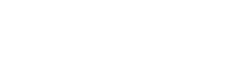 EDS Aviation